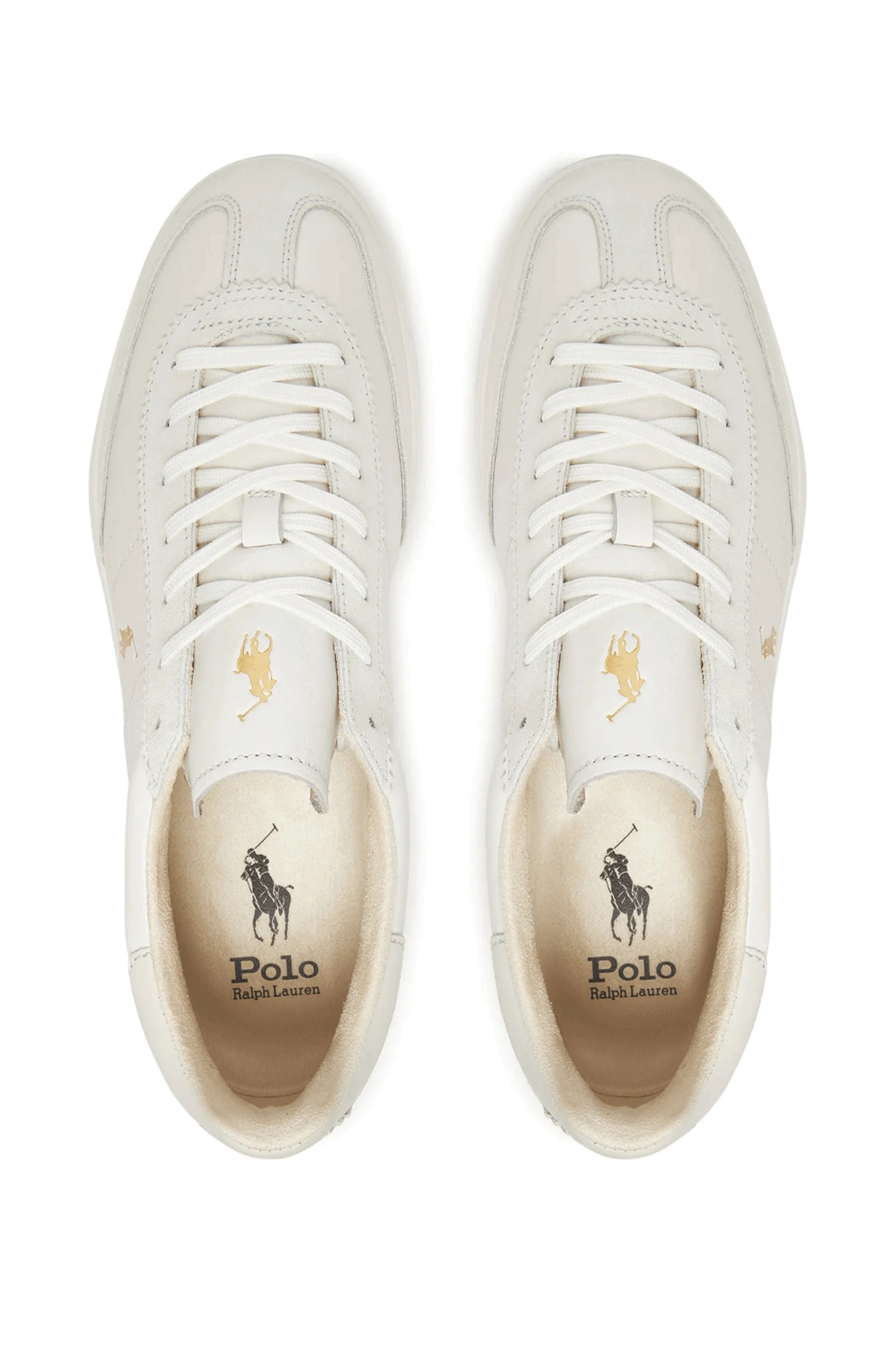 靴 RALPH LAUREN ANTONY Multicoloured suede sports shoes brand POLO RALPH LAUREN